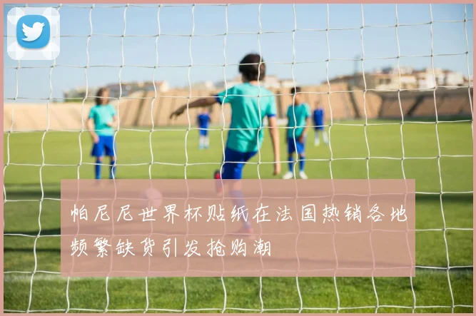 帕尼尼世界杯贴纸在法国热销各地频繁缺货引发抢购潮